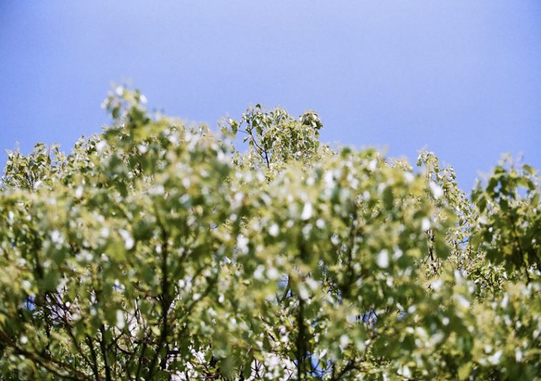 今日、良いお天気に恵まれたのは