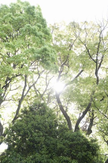 天気に恵まれた朝